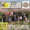【ふるさと納税】朝もぎ直送!!過保護に育った葡萄『のびのび育てたシャインマスカット』3~6房【配送不可地域:離島】【1370173】