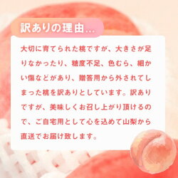 【ふるさと納税】【2023年先行受付】訳あり桃3.5kg以上(12玉〜20玉)【配送不可地域：離島】【1370956】 画像1