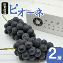 【ふるさと納税】【2023年先行受付】厳選!!池田青果のピオーネ　2房【配送不可地域：離島】【1370963】