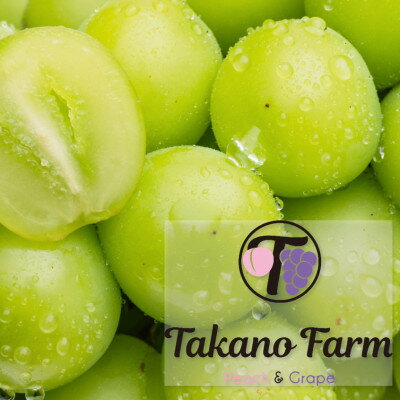[数量限定]Takano Farmのシャインマスカット約1.5kg(2〜3房)[配送不可地域:離島]