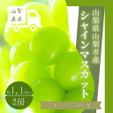 【ふるさと納税】【2023年11月以降順次発送予定】冬に食べる特別な【こがらしぶどう】シャインマスカット2房約1kg【配送不可地域：離島】【1374931】･･･