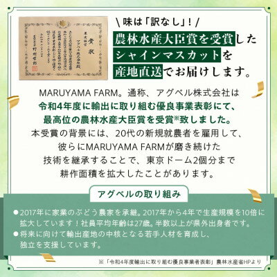 【ふるさと納税】【訳あり】シャインマスカット 3～4房 1.5～2kg【配送不可地域：離島】【1391174】