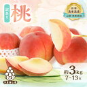 【ふるさと納税】【訳あり】桃 約3kg (7玉~13玉) 山梨市産 桃_ ふるさと納税 ふるさと もも モモ ピーチ フルーツ 果物 くだもの 人気 美味しい ...