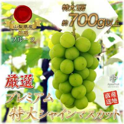 【ふるさと納税】厳選!プレミアムシャインマスカット1房 (700g以上サイズ)【配送不可地域:離島】【1395550】