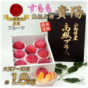【ふるさと納税】すもも『大玉貴陽』約1.8kg(7〜10玉)【配送不可地域:離島】【1395561】