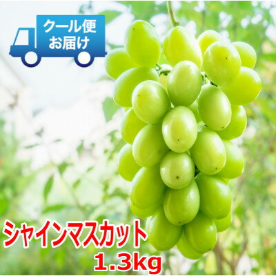 【ふるさと納税】安心のクール便発送 シャインマスカット 1.3kg (2房)【配送不可地域:離島・北海道・沖縄県・中国・四国・九州】【1398966】