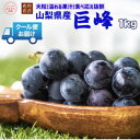 【ふるさと納税】安心のクール便発送 山梨県産 巨峰 1kg(2房)【配送不可地域:離島・北海道・沖縄県・中国・四国・九州】【1398969】