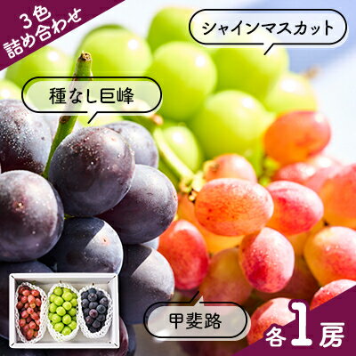 【ふるさと納税】3色詰合せ　シャインマスカット・種なし巨峰・甲斐路(各1房)計3房【配送不可地域：離島】【1399004】のサムネイル