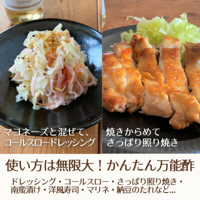 【ふるさと納税】【簡単・時短おうちごはん応援!】ピクルスワインビネガー3本セット〈自社醸造ワインビネガー使用〉【1409032】