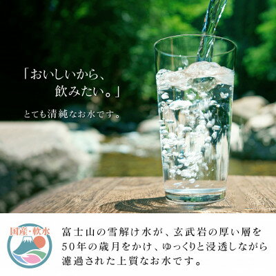 【ふるさと納税】富士山麓四季の水　2L×12本(6本入2箱)ミネラルウォーター　軟水【1410056】