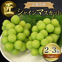 【ふるさと納税】山梨市産シャインマスカット(匠)2～3房(1kg以上)　【配送不可地域：離島・沖縄県】【1413176】