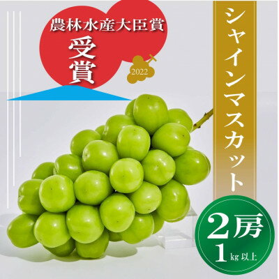 【ふるさと納税】【訳あり】シャインマスカット2房1kg以上 ※2023年8月下旬以降発送予定【配送不可地域：離島】【1422036】