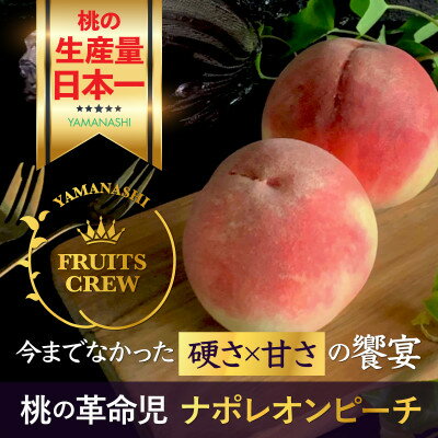 【ふるさと納税】【8月上旬より順次発送】硬さ×甘さの饗宴 希少なナポレオンピーチ今回逃すと1年待ち【配送不可地域:離島・北海道・沖縄県・中国・四国・九州】【1424185】
