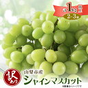 【ふるさと納税】【2026年先行予約】【訳あり】山梨市産シャインマスカット1kg以上(2〜3房)_ ふるさと納税 フルーツ 果物 訳アリ ブドウ ぶどう マスカ...