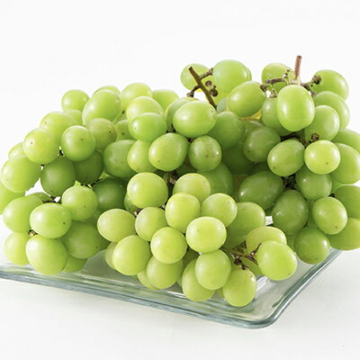 【ふるさと納税】【2026年先行予約】【訳あり】山梨市産シャインマスカット1kg以上(2～3房)_ ふるさと納税 フルーツ 果物 訳アリ ブドウ ぶどう マスカット 葡萄 くだもの わけあり ふるさと 産地直送 山梨 山梨県 山梨市 人気 美味しい 【配送不可地域：離島】【1427896】