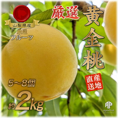 【ふるさと納税】山梨市産　黄金桃　約2kg(5～8玉)【配送