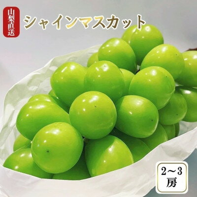 【ふるさと納税】シャインマスカット 1.1kg 厳選!池田青果のシャインマスカット2房~3房_ ふるさと納税 フルーツ 果物 くだもの マスカット ブドウ ぶどう 葡萄 ふるさと 人気 山梨 山梨県 送料無料【配送不可地域:離島】【1436023】 【ふるさと納税】シャインマスカット 1.1kg 厳選!池田青果のシャインマスカット2房~3房_ ふるさと納税 フルーツ 果物 くだもの マスカット ブドウ ぶどう 葡萄 ふるさと 人気 山梨 山梨県 送料無料【配送不可地域:離島】【1436023】