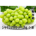 【ふるさと納税】【2025年発送】_シャインマスカット(1kg・1.2kg(2~3房))_ シャインマスカット 果物 くだもの フルーツ 葡萄 ぶどう 人気 おすすめ 送料無料 山梨 秀品 【配送不可地域:離島】【G1442579】