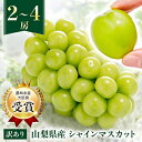 【ふるさと納税】【訳あり】シャインマスカット2房1kg以上/3~4房1.5kg以上 ※2025年8月下旬以降発送予定_ふるさと納税 シャインマスカット フルーツ...