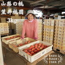 【ふるさと納税】厳選朝採り桃 山梨の笠井桃園の桃 3kg【配送不可地域:離島】【1456517】