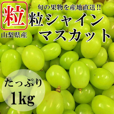 山梨県山梨市産　シャインマスカット　粒　約1kg【配送不可地域：離島】【1459681】