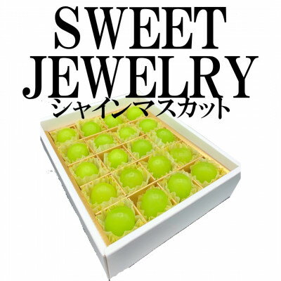 【ふるさと納税】山梨県山梨市産　シャインマスカット　～SWEET JEWELRY～　20粒【配送不可地域：離島..