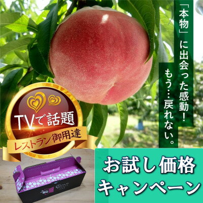【ふるさと納税】【圧倒的なTV出演実績】メディア出演に裏打ちされた『樹上完熟ブランド桃』2025年7月中旬より発送【配送不可地域:離島・北海道・沖縄県・中国・四国・九州】【1459996】