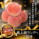 【ふるさと納税】【海外セレブ絶賛】糖度16度以上わずか5%しか収穫されない樹上完熟ブランド桃2025年7月上旬発送【配送不可地域:離島・北海道・沖縄県・中国・四...