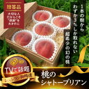 【ふるさと納税】【1泊100万円高級宿御用達】1000個中1個の希少性『幻のシャトーブリアン桃』2025年6月下旬_ ふるさと納税 桃 もも モモ フルーツ 果...