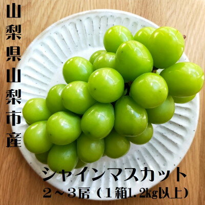 【ふるさと納税】【2024年発送】山梨市産　シャインマスカット　2～3房(1.2kg以上)【配送不可地域：離..