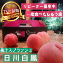 【ふるさと納税】【果汁スプラッシュ日川白鳳】人気品種指定ギフト3年連続TV出演話題ブランド桃2025年6月下旬発送【配送不可地域:離島・北海道・沖縄県・中国・四...