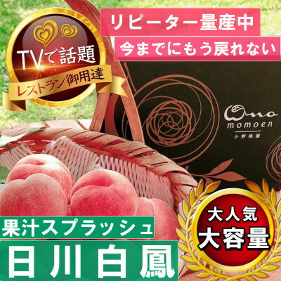 【ふるさと納税】【果汁スプラッシュ日川白鳳】人気品種指定ギフ