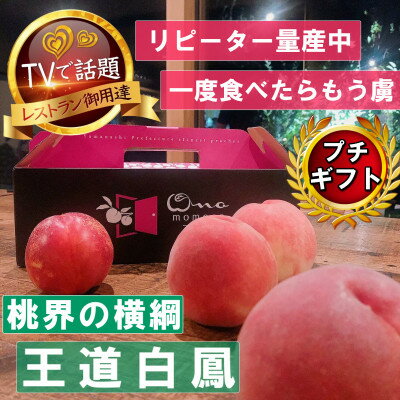 【桃界の横綱キング白鳳】人気品種指定ギフト3年連続TV出演話題ブランド桃2024年7月上旬発送【配送不可地域：離島・北海道・沖縄県・中国・四国・九州】【1465186】