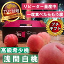 【ふるさと納税】【市場にほぼ出回らない浅間白桃】人気品種指定ギフト4年連続TV出演話題ブランド2025年7月中旬発送【配送不可地域:離島・北海道・沖縄県・中国・...