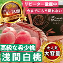 【ふるさと納税】【市場にほぼ出回らない浅間白桃】人気品種指定ギフト3年連続TV出演話題ブランド202 ...