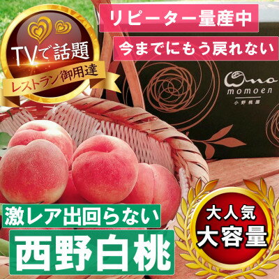 5位! 口コミ数「0件」評価「0」【市場に出回らないレアな西野白桃】人気品種指定ギフト3年連続TV出演話題ブランド2024年7月中旬発【配送不可地域：離島・北海道・沖縄県・中･･･ 