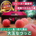 【ふるさと納税】【大玉ジューシーなつっこ】人気品種指定ギフト5連続TV出演話題ブランド2026年8月上旬発送【配送不可地域:離島・北海道・沖縄県・中国・四国・九州】【1465280】