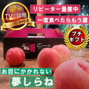 【ふるさと納税】【滅多にお目にかかれない夢しらね】人気品種指定ギフト4年連続TV出演話題ブランド2025年7月下旬〜【配送不可地域:離島・北海道・沖縄県・中国・...