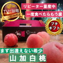 【ふるさと納税】【まず出逢えない気品高い山加白桃】人気品種指定ギフト4年連続TV出演話題ブランド2025年7月下旬〜【配送不可地域:離島・北海道・沖縄県・中国・...