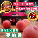 【ふるさと納税】【瑞々しく滴る次世代を担う夢桃香】人気品種指定ギフト4年連続TV出演話題ブランド2025年6月下旬〜【配送不可地域:離島・北海道・沖縄県・中国・...