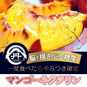 【ふるさと納税】【一度食べたらもう戻れない】マンゴーネクタリンやみつきリピーター続出中2025年7月上旬より発送【配送不可地域:離島・北海道・沖縄県・中国・四国...
