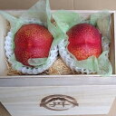 【ふるさと納税】【ご先祖様へ最高のお盆贈り物】最高糖度25度比類なき絶対糖度シャトーネクタリン2025年8月上旬発送【配送不可地域:離島・北海道・沖縄県・中国・四国・九州】【1468768】
