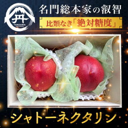 【ふるさと納税】【周りに差をつける贈り物】最高糖度25度の比類なき絶対糖度シャトーネクタリン2024年8月中旬発送【配送不可地域：離島・北海道・沖縄県・中国・四国・九州】【1468769】