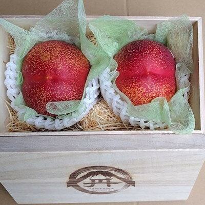 【ふるさと納税】【周りに差をつける贈り物】最高糖度25度比類なき絶対糖度シャトーネクタリン2025年8月下旬より発送【配送不可地域:離島・北海道・沖縄県・中国・四国・九州】【1468770】
