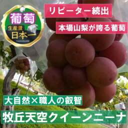 【ふるさと納税】【2024年9月中旬発送】「幻の牧丘天空クイーンニーナ」 約1kg(2～4房)【配送不可地域：離島・北海道・沖縄県・中国・四国・九州】【1473341】