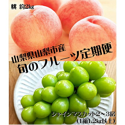 【ふるさと納税】【発送月固定定期便】【2024年先行予約】山梨市フルーツ定期便(桃・シャインマスカット)全2回【配送不可地域：離島】【4006310】