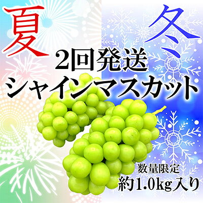 【発送月固定定期便】山梨市産シャインマスカット定期便 約1.0kg 全2回【配送不可地域：離島】【4008889】