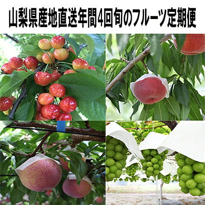 2022年7月発送開始『定期便』山梨県山梨市産旬なフルーツ定期便年4回出荷 全4回【5059135】