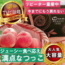 【ふるさと納税】《大玉ジューシーなつっこ》人気品種指定ギフト5年連続TV出演話題ブランド2026年8月上旬発送【配送不可地域:離島・北海道・沖縄県・中国・四国・九州】【1465286】
