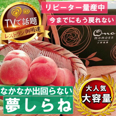 3位! 口コミ数「0件」評価「0」【滅多にお目にかかれない夢しらね】人気品種指定ギフト3年連続TV出演話題ブランド2024年7月下旬【配送不可地域：離島・北海道・沖縄県・中国･･･ 